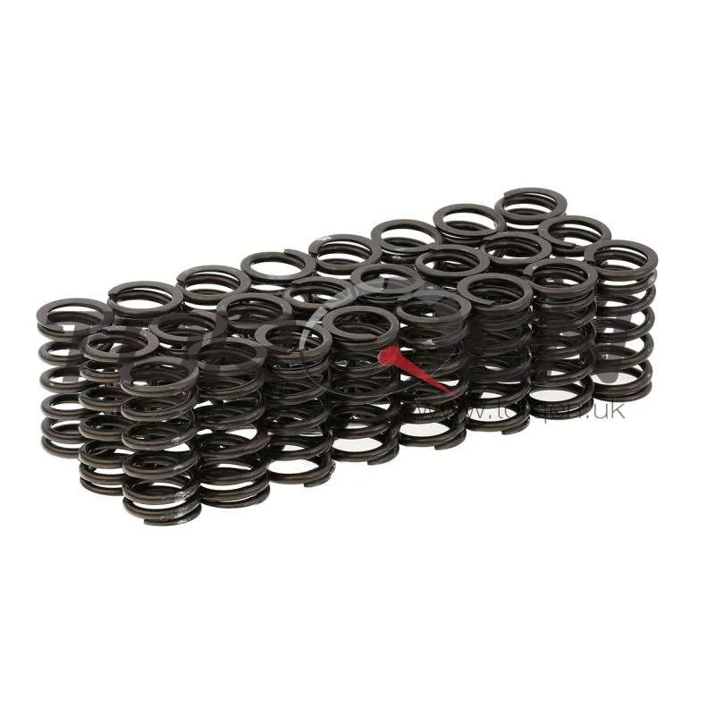 torqen1-904075