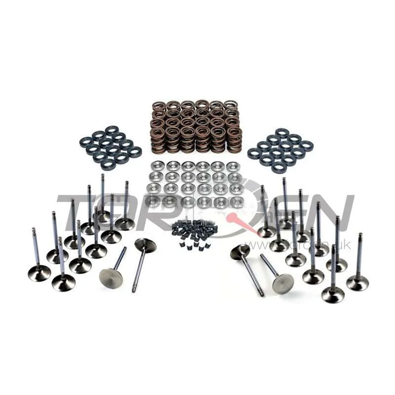 torqen1-904229