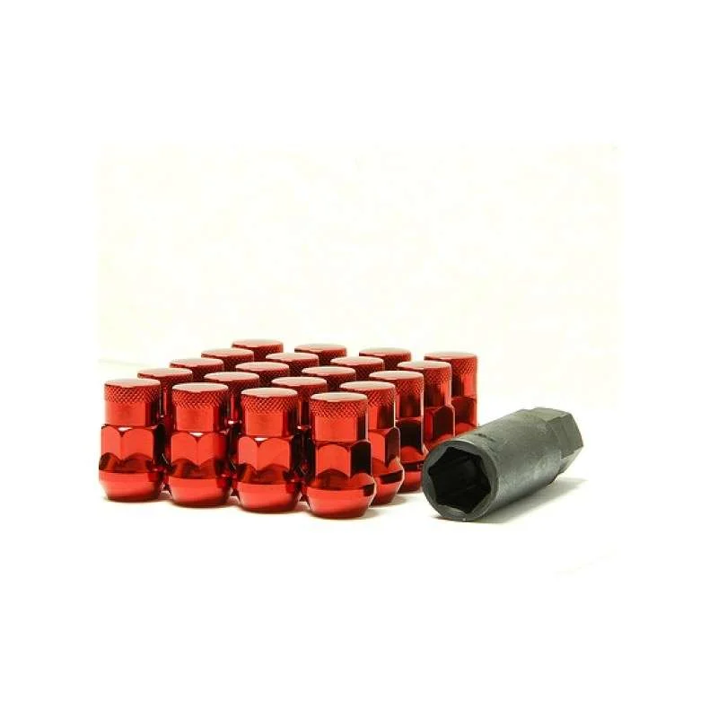 torqen1-905377
