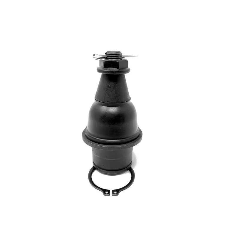 torqen1-949788