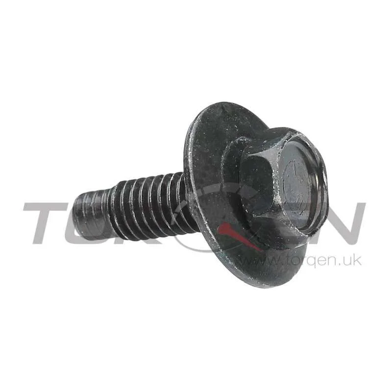 torqen1-952541