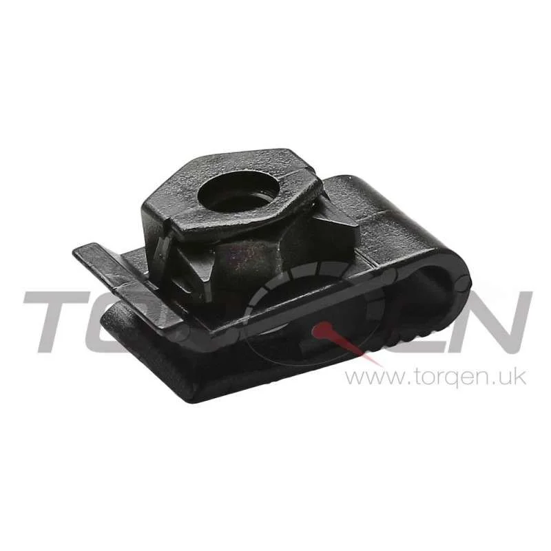torqen1-957116